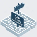 SAP License Optimization: Cut Costs and Get Audit Ready